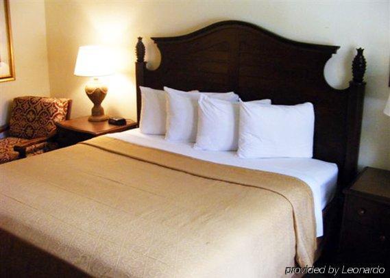 Quality Inn & Suites Eastgate 基西米 客房 照片